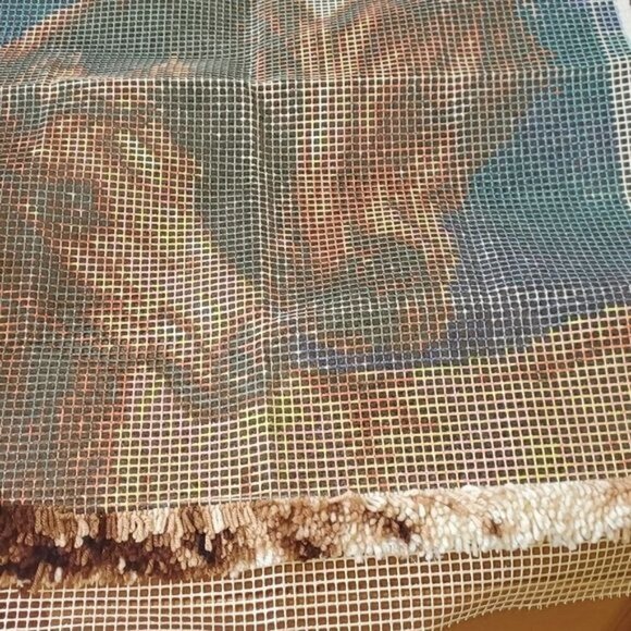 J&P Coats Thoroughbreds Latchhook Sz. 27" x 40" - Picture 10 of 10